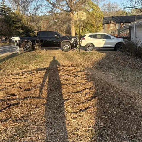 Home Land Clearing & Property Preparation