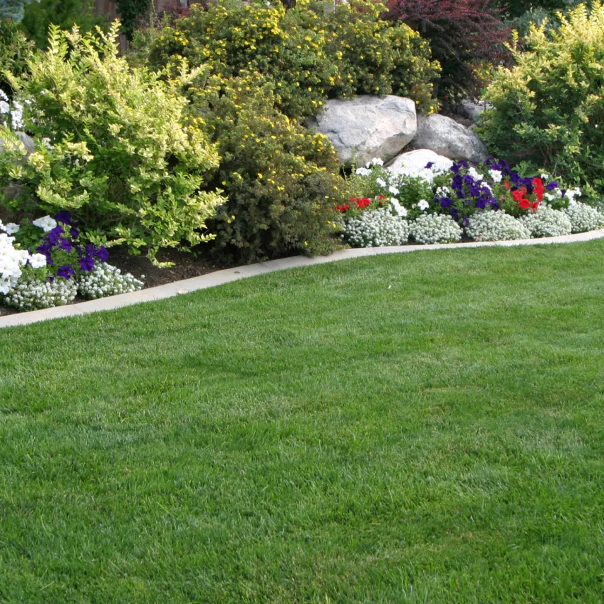 Home Landscaping & Lawn Maintenance