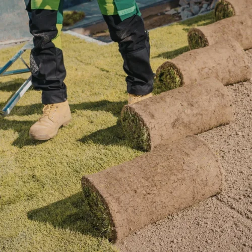 Home Sod and Irrigation