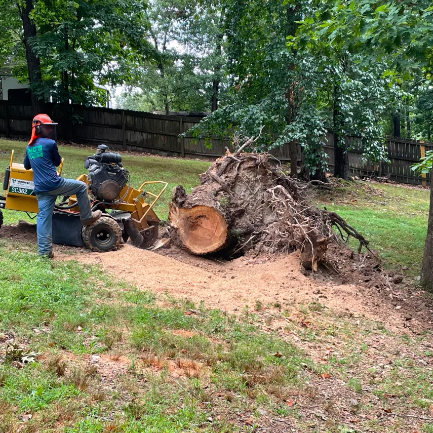 Home Stump Grinding & Removal