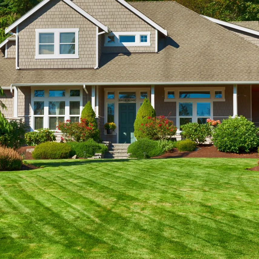 Landscaping & Lawn Maintenance