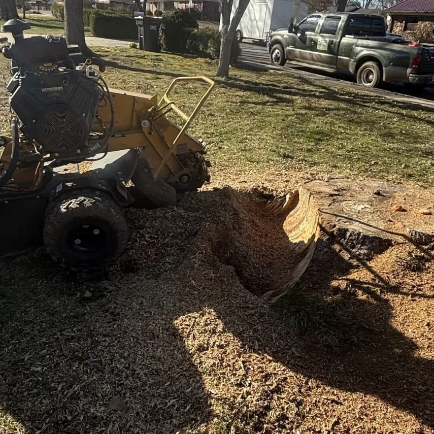 Stump Grinding & Removal