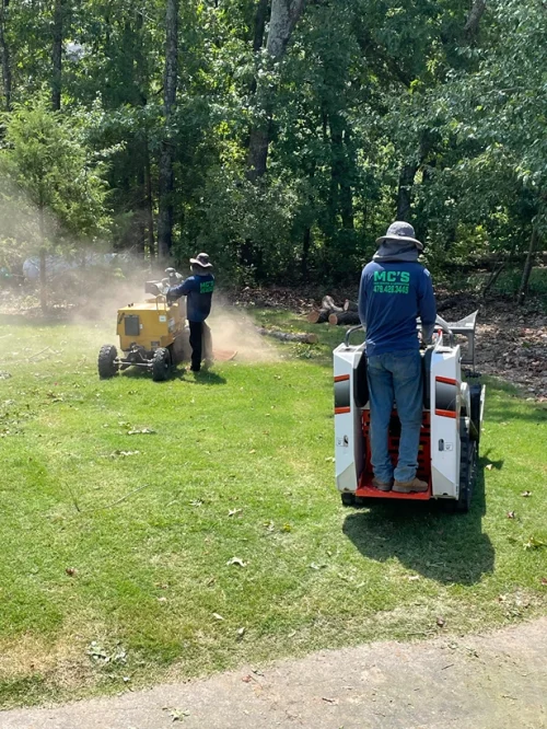 mc tree service 2026 02 05T14 42 38.404688Z 7188