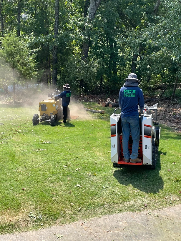 mc tree service 2026 02 05T14 42 38.404688Z 7188