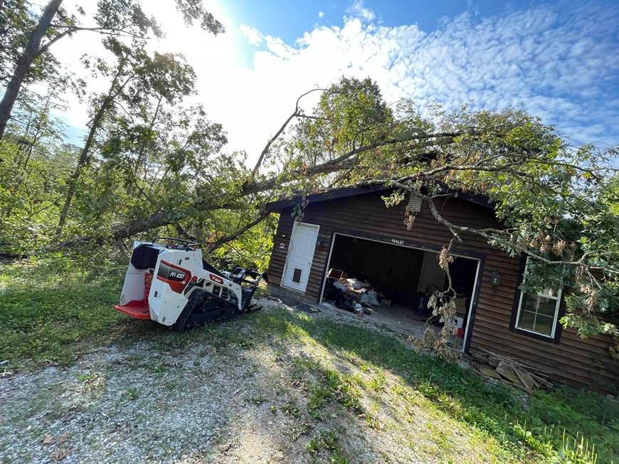 mc tree service 2026 02 05T14 42 39.533429Z 34307