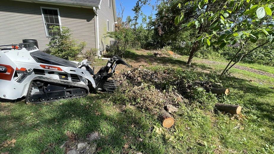 mc tree service 2026 02 05T14 42 46.952679Z 86989